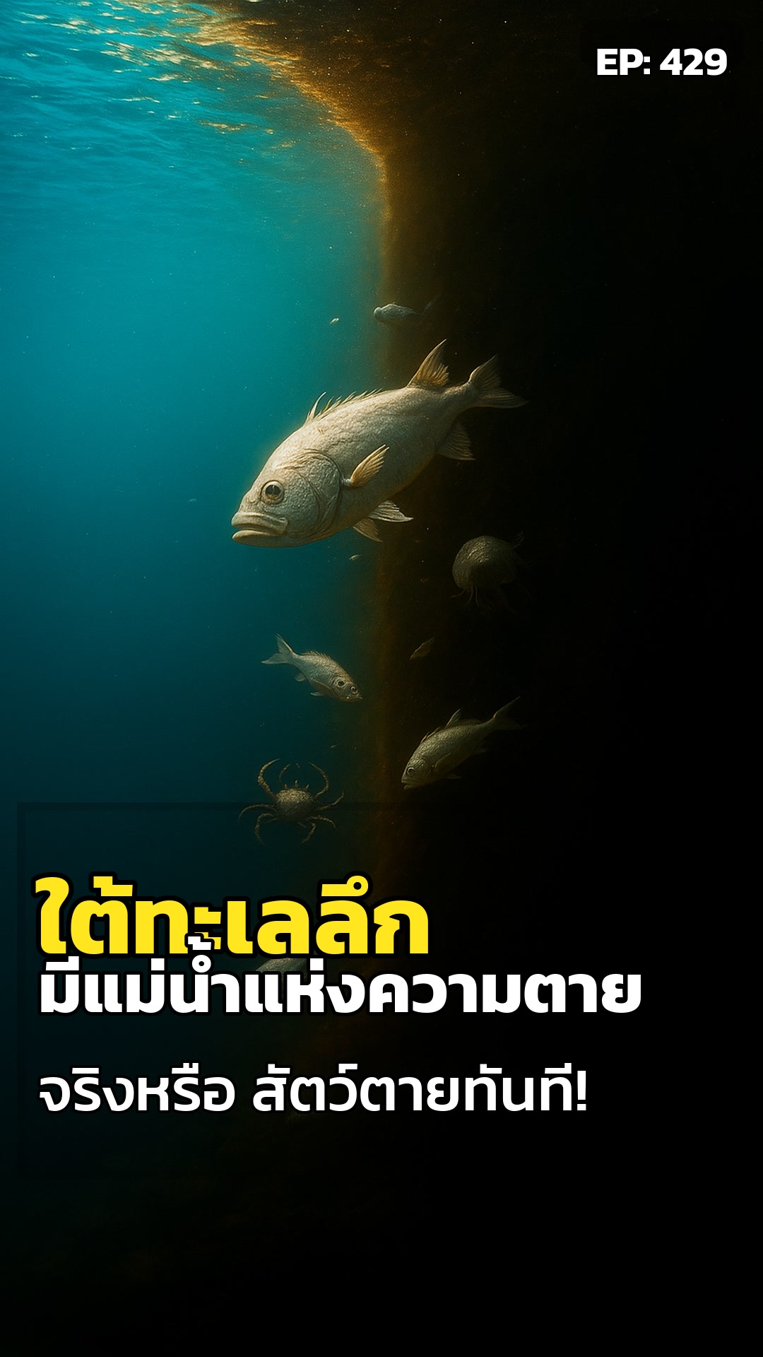 ลึกลงไปในน้ำ... มี 'แม่น้ำแห่งความตาย' ซ่อนอยู่จริงหรือ?