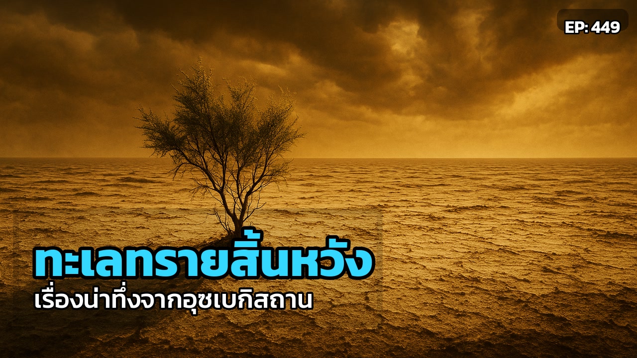 รอยแค้นของธรรมชาติ: อุซเบกิสถาน 'ปลุก' ป่าจากทะเลทรายที่โลกเคยสิ้นหวัง