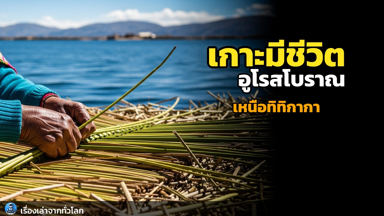 เกาะลอยน้ำ 'มีชีวิต': อูโรส ภูมิปัญญาโบราณเหนือน้ำแห่งทิทิกากา