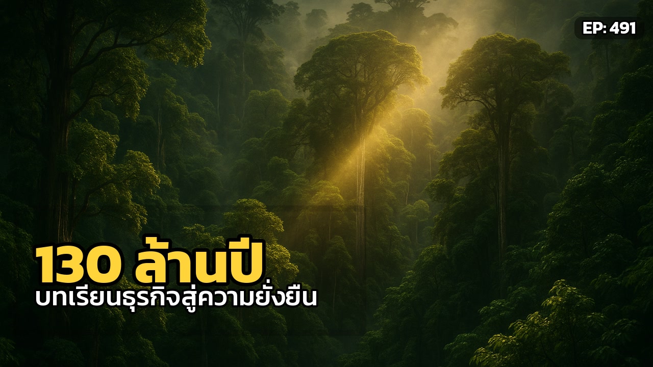 ป่าดิบชื้น 130 ล้านปี: ปรัชญาธุรกิจแห่งความยั่งยืนที่โลกต้องเรียนรู้
