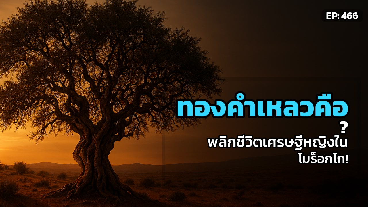 ทองคำเหลวแห่งโมร็อกโก: ต้นอาร์แกนกับเมล็ดพันธุ์แห่งอิสรภาพของผู้หญิง