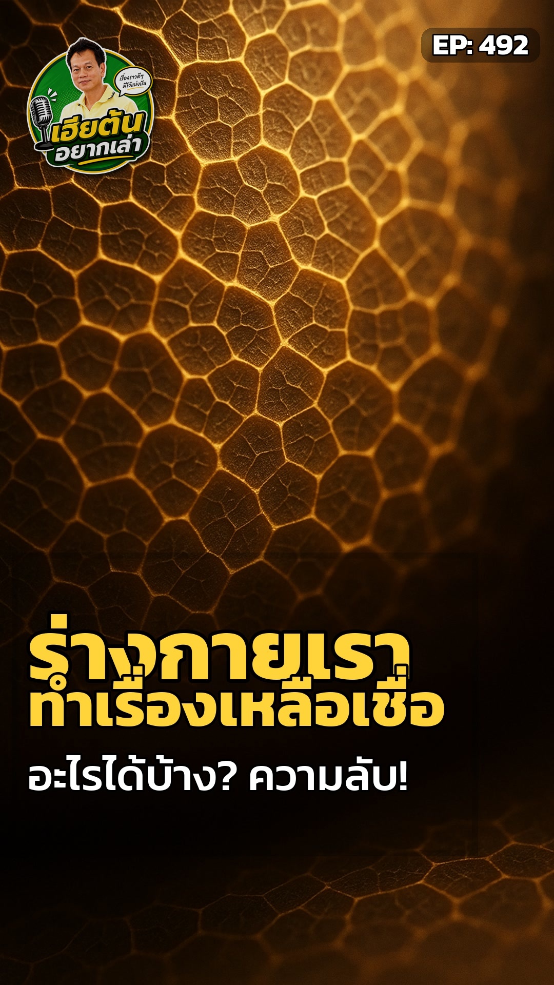 ร่างกายคุณ ซ่อนพลังอะไรอยู่?