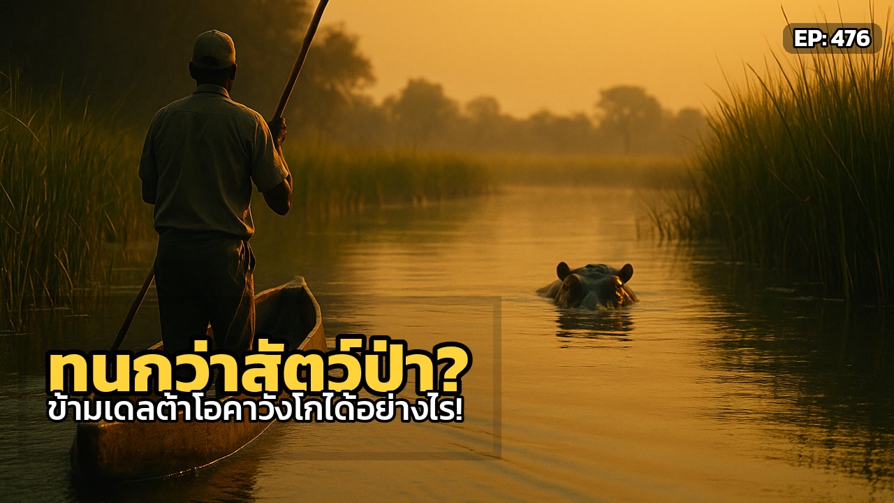 โมโคโร: ความลับของมนุษย์ผู้ทนทานกว่าสัตว์ร้ายในโอคาวังโก