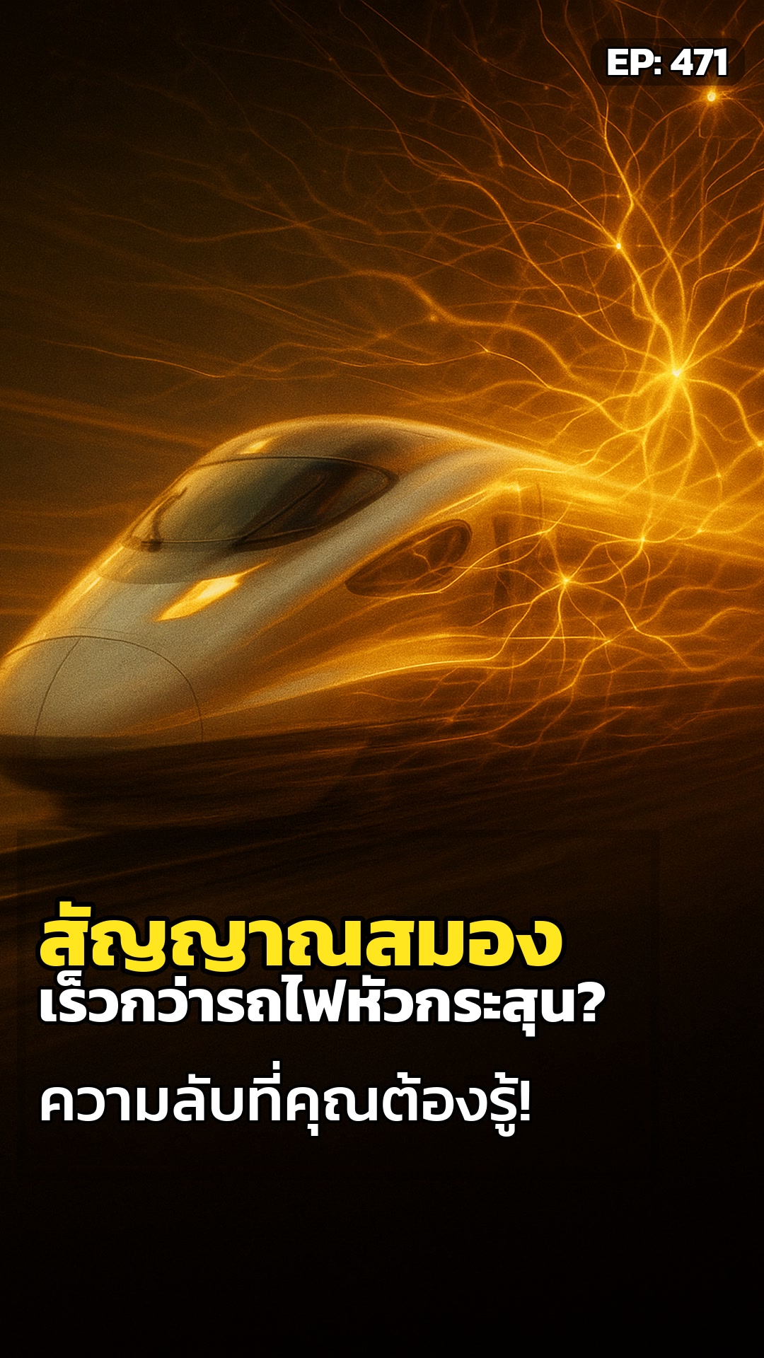 สัญญาณสมองเรา เร็วกว่ารถไฟหัวกระสุนจริงหรือ?